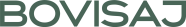 web